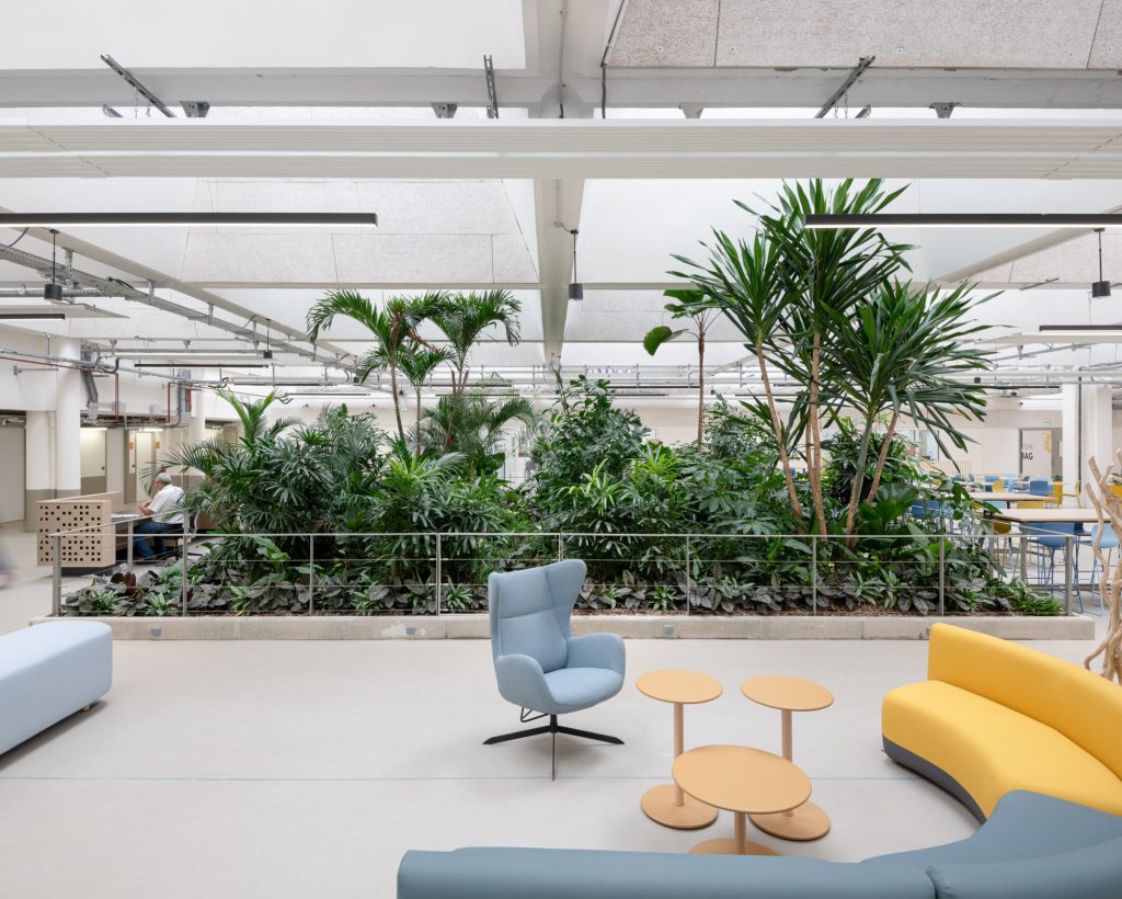 Maestra Architecture - Réhabilitation d’une école supérieure Cachan